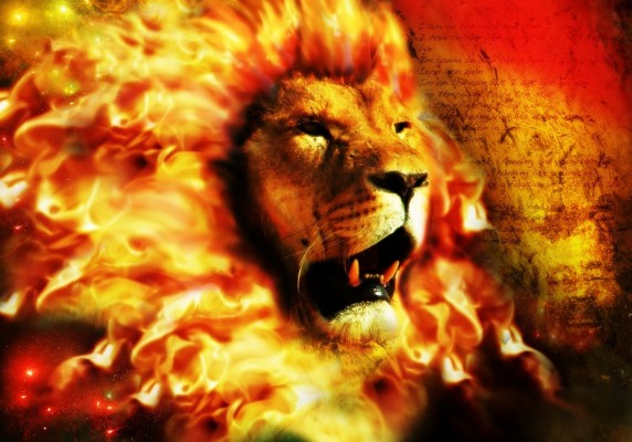 Fire Lion Wallpapers Download - 1360x768 Wallpaper - teahub.io