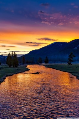 Yellowstone National Park - 1920x1080 Wallpaper - teahub.io