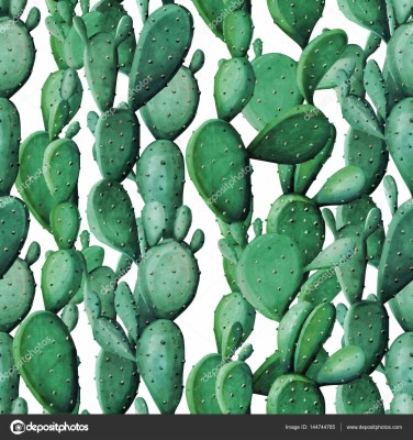 Watercolour Prickly Pear Background - 1600x1700 Wallpaper - teahub.io