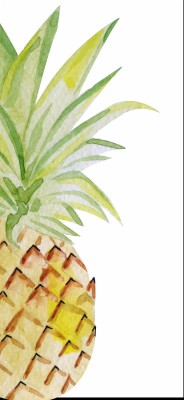 adidas wallpaper pineapple