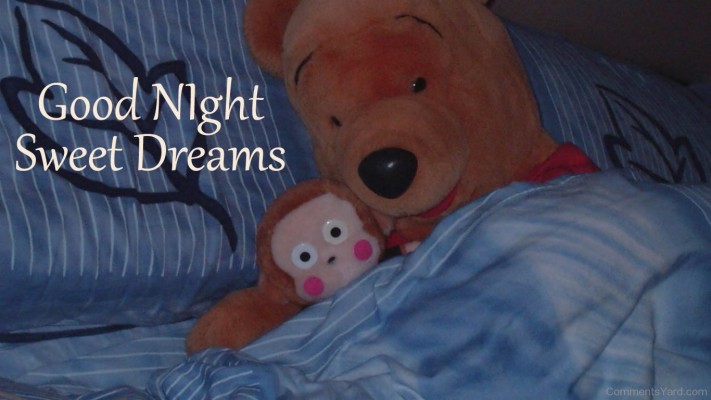 Good Night Sweet Dreams Cute Teddy Bear Wallpapers Good Night Teddy Bear 1024x670 Wallpaper