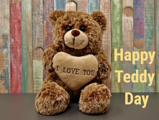 Simple Tips To Protect Yourself - Happy Teddy Day 2019 - 1200x900 ...