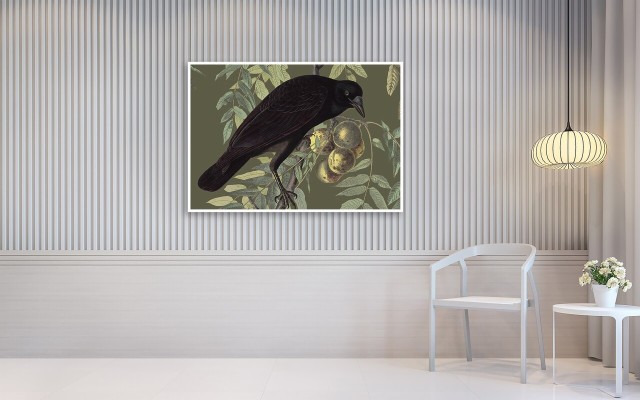 Black Crow - Rendering - 1280x800 Wallpaper - teahub.io