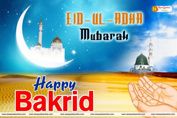 Memes & Funny Jokes To Share On Bakrid - Bakra Eid Shayari - 1280x720  Wallpaper 