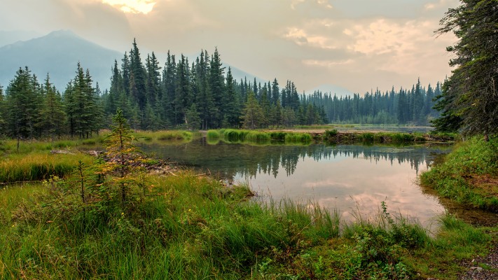 Denali National Park 1920 X 1080 - 3840x2160 Wallpaper - teahub.io