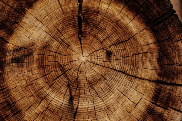 Wood Grain Texture Circle - 6000x4000 Wallpaper - teahub.io