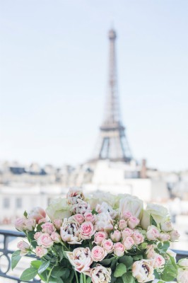 Eiffel Tower And Roses - 570x854 Wallpaper - teahub.io