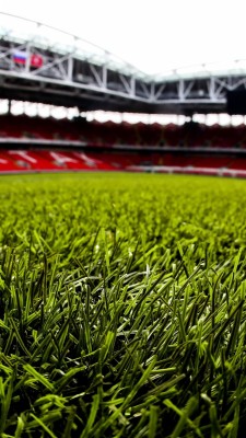 Iphone Wallpaper Green Grass, Football Stadium - Обои На Айфон Футбол -  1080x1920 Wallpaper 