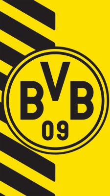 Raute Borussia Monchengladbach 1024x768 Wallpaper Teahub Io