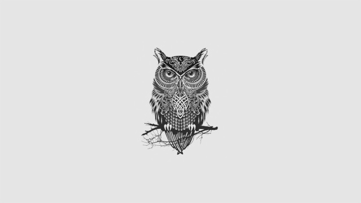 Minimalist Desktop Wallpaper Owl - 1920x1080 Wallpaper - teahub.io