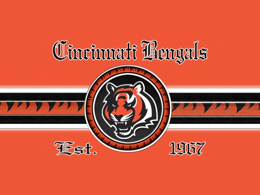 S Cincinnati Bengals Wallpaper - Orange Tiger Stripe Background ...