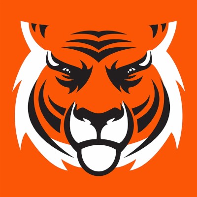 S Cincinnati Bengals Wallpaper - Orange Tiger Stripe Background ...