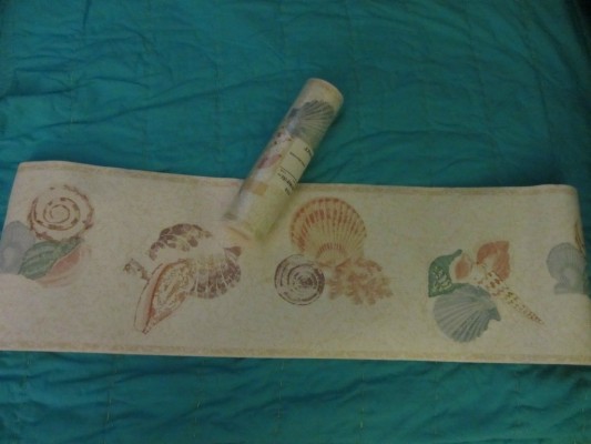 Seashell Border - 1500x1026 Wallpaper - teahub.io