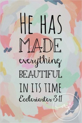 He Has Made Everything Beautiful In Its Time Thepaintedpeacock - Bible ...