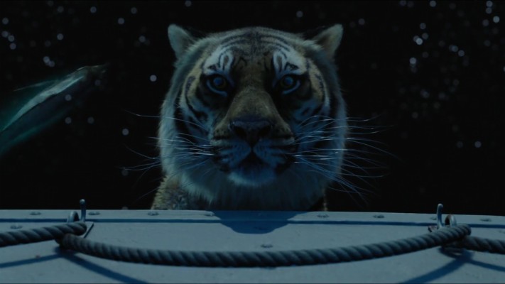 Tabu In Life Of Pi Hd Wallpapers - Life Of Pi Gita - 1600x1200 ...