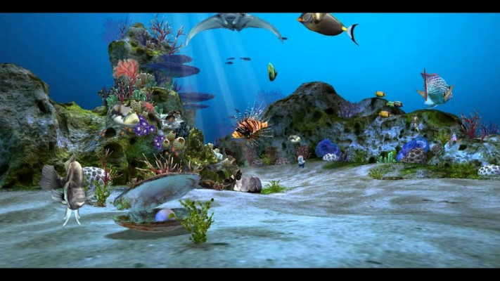 fish tank wallpapers for desktop