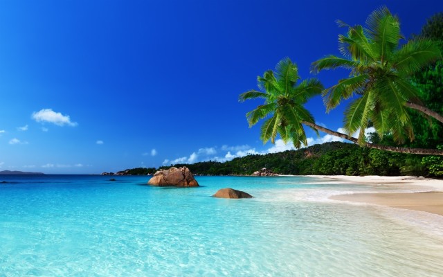 Tropical Island Computer Wallpapers Desktop Backgrounds - Jamaica Beach ...