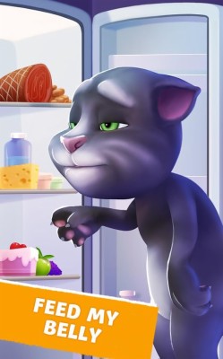 Tom Cat My Talking Tom Jerry Mouse Tom And Jerry, Png, - Cat Tom And