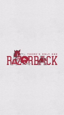 arkansas logo red football razorbacks arkansas razorbacks 800x600 wallpaper teahub io arkansas logo red football razorbacks