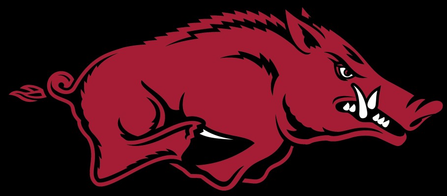 Razorback - Arkansas University Logo - 2717x1195 Wallpaper - teahub.io