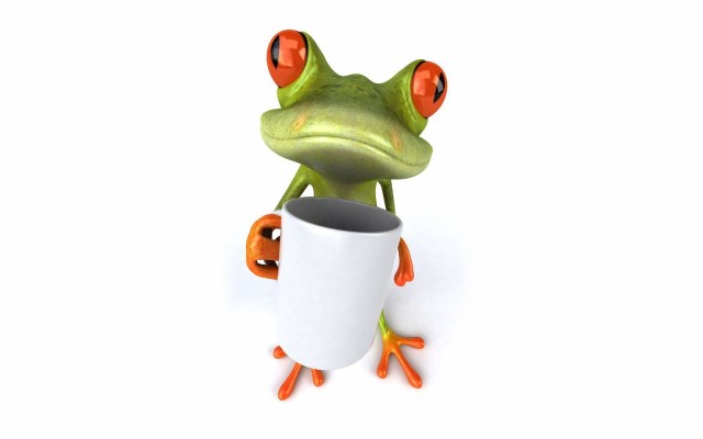 Cute Frog Wallpaper Wallpaper Cute Frog Wallpaper Imagen Png Frog Funny 1920x1200 Wallpaper Teahub Io