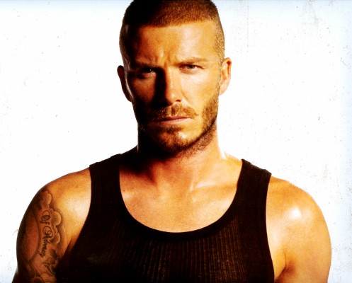 David Beckham Handsome Celebrity And Model Photo Picture - David ...