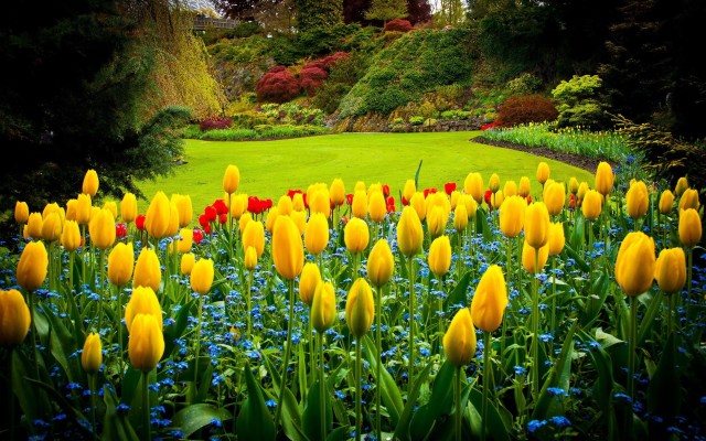 The Most Beautiful Flower Garden in the World, Without People