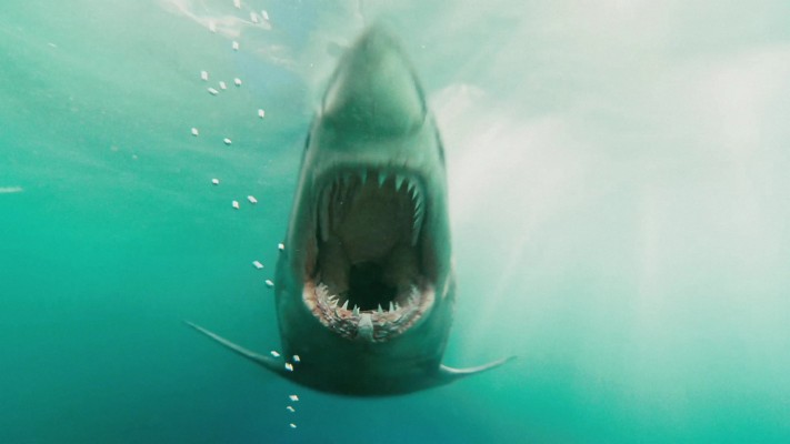 Shark Night - 1920x1080 Wallpaper - teahub.io