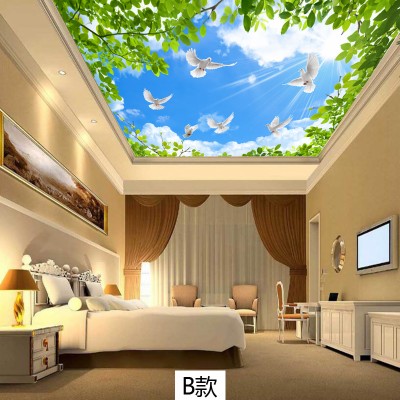 Theme 3d Ceiling Nature Sky Wallpaper Paint Clouds In Tray Ceiling 992x543 Wallpaper Teahub Io