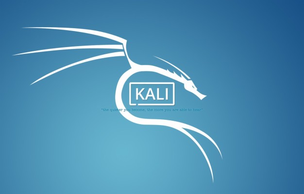 Photo Wallpaper Linux, Dragon, Mr Robot, Kali, Kali - Kali Linux ...