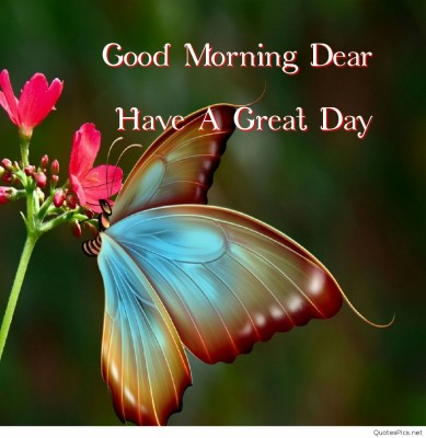 Good Morning Butterfly - Good Morning Images With Butterfly - 1080x1110 ...