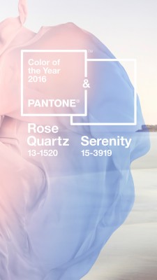 iphone wallpaper rose quartz and serenity 1080x1920 wallpaper teahub io iphone wallpaper rose quartz and