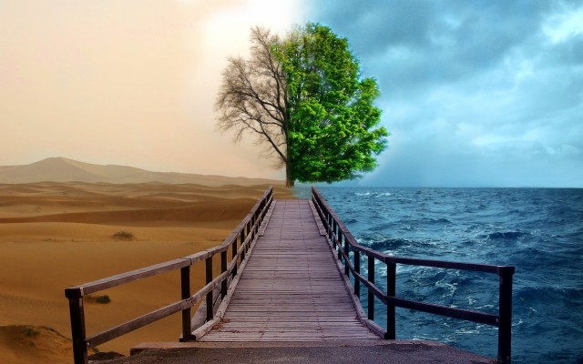 Creative Nature Hd Wallpapers - Different Perspectives Of The World 1920x1200 Wallpaper teahub.io