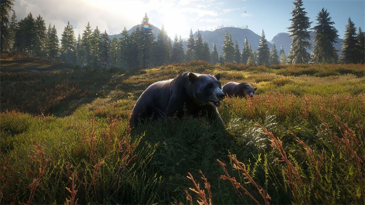 theHunter: Call of the Wild™ for apple download free