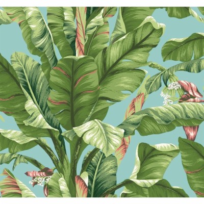 Banana Leaf Wallpaper Uk - 1000x1000 Wallpaper - teahub.io
