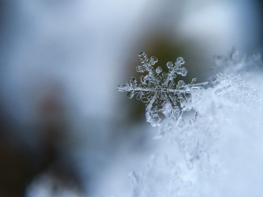 Snowflake Live Wallpaper - 2000x1328 Wallpaper - teahub.io
