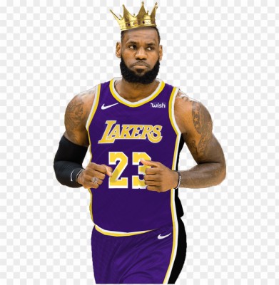 Of Lebron James In The Brand New Los Angeles Lakers - Lebron James ...