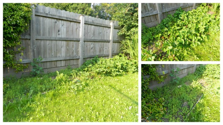 Picket Fence - 1080x1920 Wallpaper - teahub.io