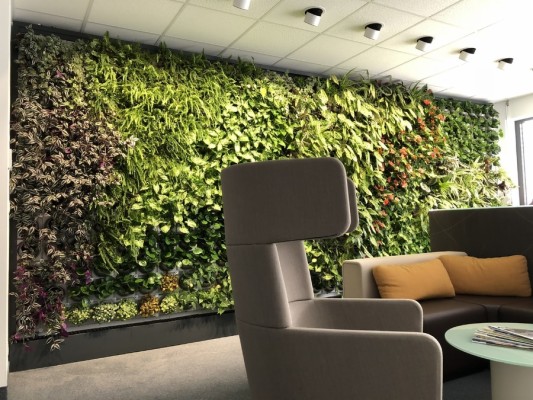 Indoor Artificial Grass Wall - 900x675 Wallpaper - teahub.io