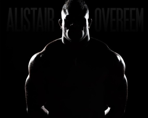 Alistair Overeem - 2560x1440 Wallpaper - teahub.io