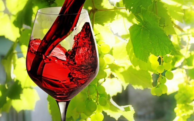 Grapes And Wine - 2560x1600 Wallpaper - teahub.io