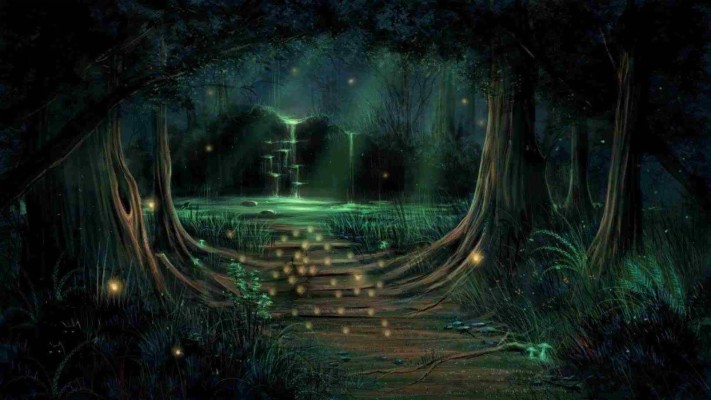 Night Enchanted Fairy Forest - 1920x1080 Wallpaper 