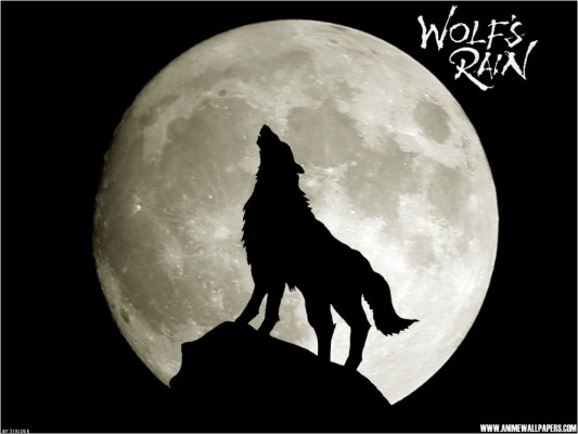 Dark Black Wolf Moon Wallpaper Hd Free Download - Night Sky With Wolf ...