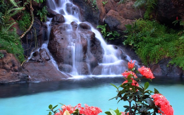 Spectacular Hd Waterfall Wallpapers To Download - Water Fall Hd 