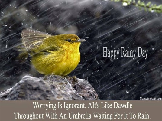 Rainy Good Morning Wish - 1341x1000 Wallpaper - teahub.io