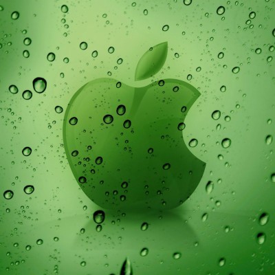 Download Beautiful Apple Green Apple Hd Wallpaper Full - Green Leaves ...