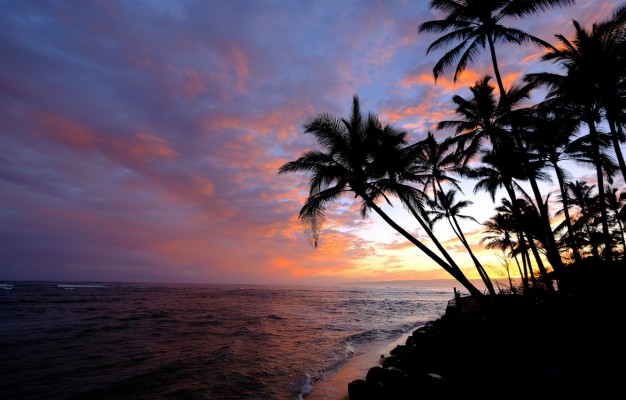 Photo Wallpaper The Sky, Palm Trees, The Ocean, Dawn, - Hawaii Morning ...