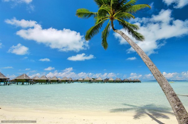 Bora Bora Beach - 1000x600 Wallpaper - teahub.io