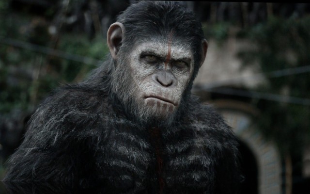 Planet Of The Apes 2019 - 1024x640 Wallpaper - teahub.io