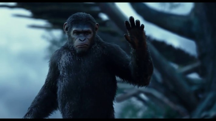 Dawn Of The Planet Of The Apes Screencaps - 1280x720 Wallpaper - teahub.io